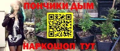 МДПВ Будённовск