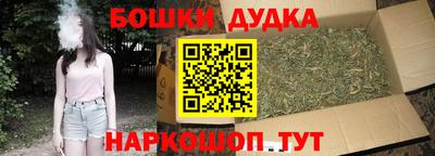 МДПВ Будённовск