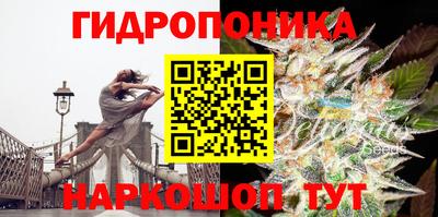 МДПВ Будённовск